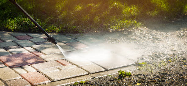 Best Sidewalk and Walkway Cleaning  in Dearborn Heights, MI